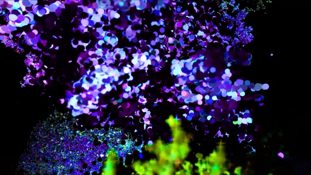 No.4 Digital Perception